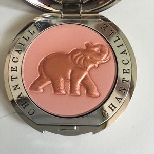 NIB Chantecaille Blush in Fun